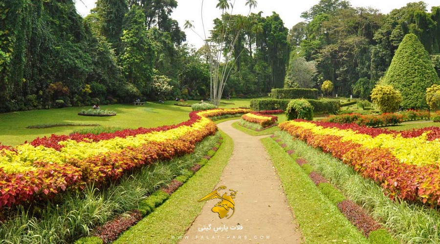 باغ گیاهشناسی رویال گاردن پرادنیا سریلانکا