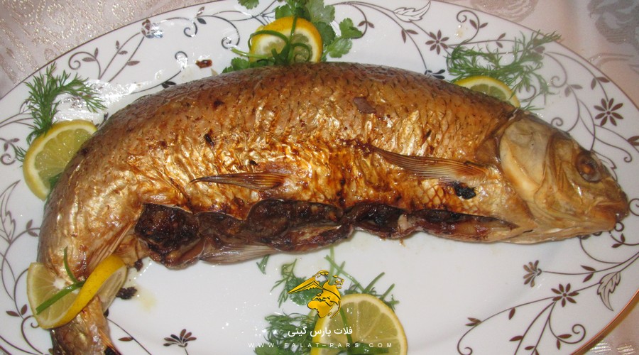بالیق یا ماهی شکم پر باکو آذربایجان