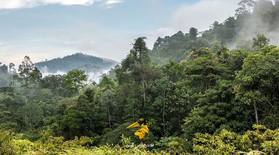 پارک ملی تامان نگارا در مالزی